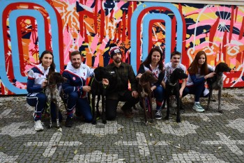 Na dostihové závodiště Velké pardubické vyběhnou nejlepší musheři světa se svými psy Na dostihové závodiště Velké pardubické vyběhnou nejlepší musheři světa se svými psy